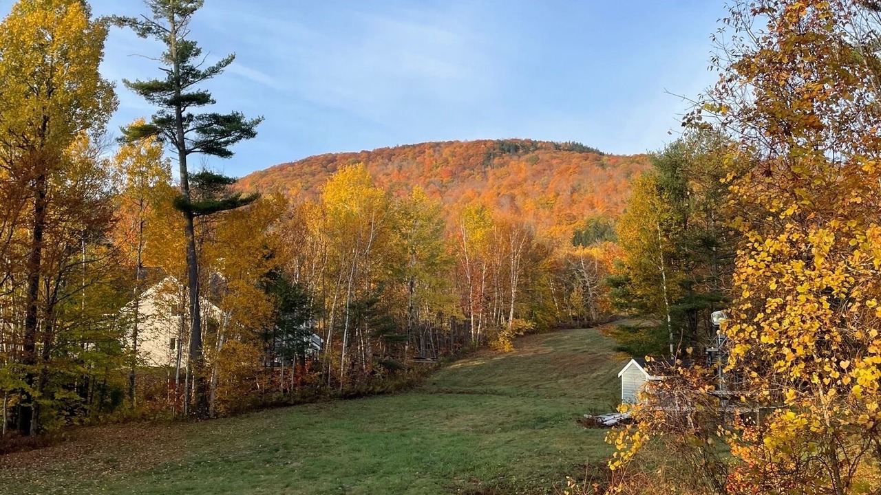 Photo of Outdoor in Plymouth