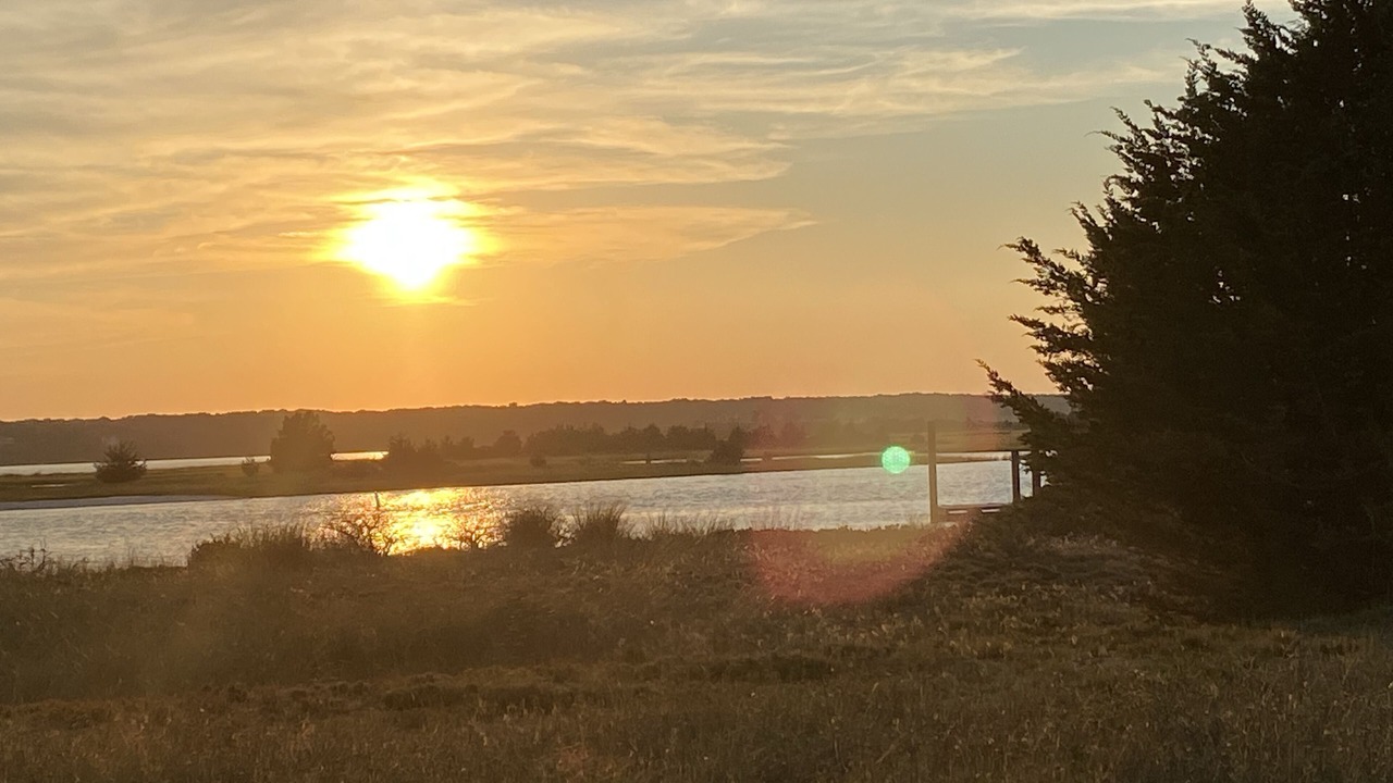 Photo of Outdoor in Springs