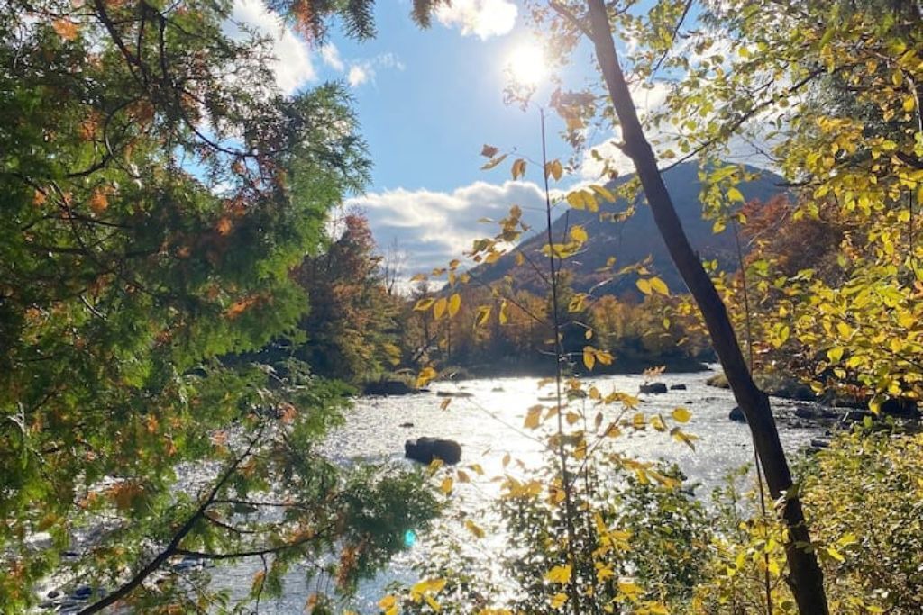 Photo of Outdoor in North Creek