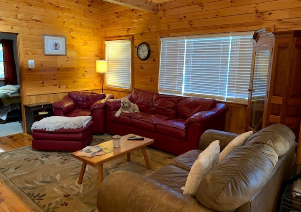 Photo of Livingroom in Brighton