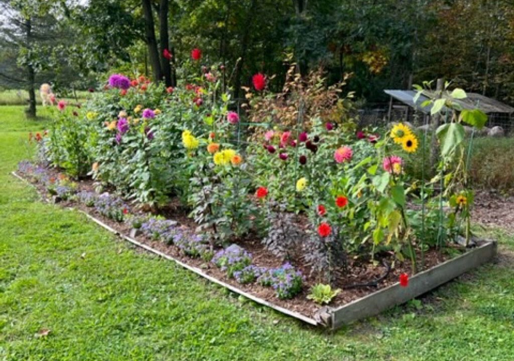 Photo of Outdoor in North Ferrisburgh