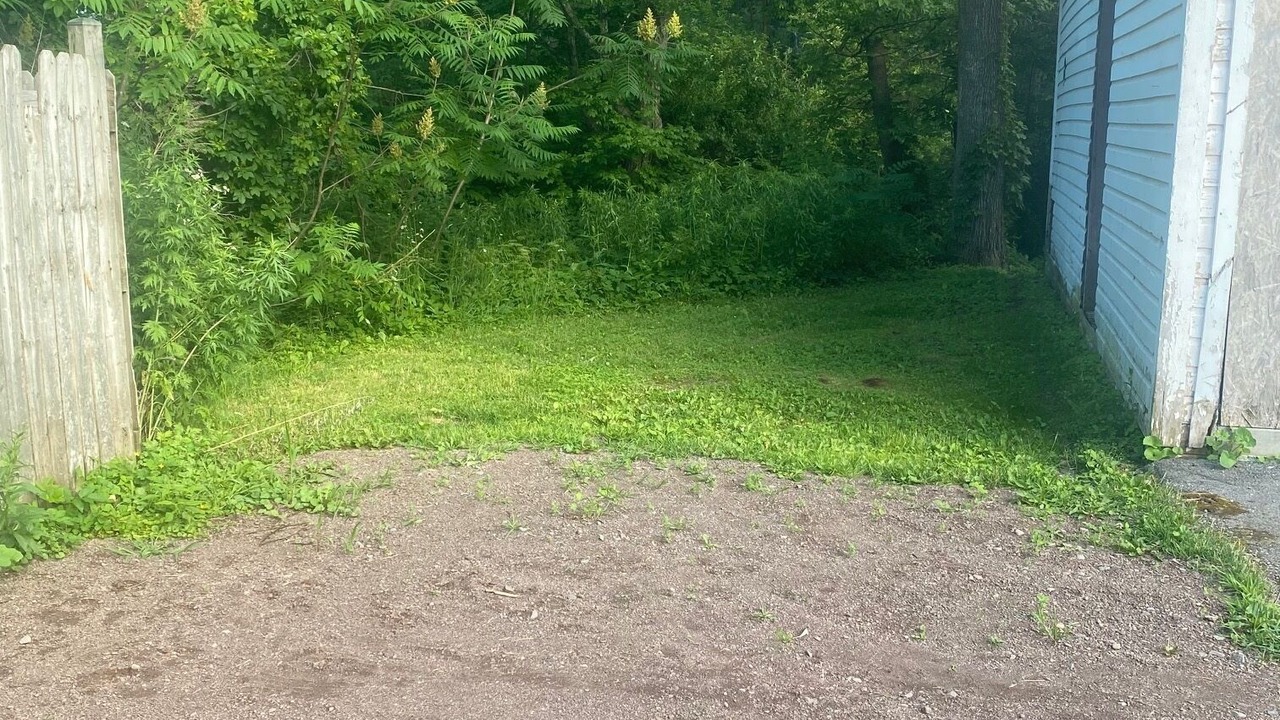 Photo of Outdoor in Bloomville