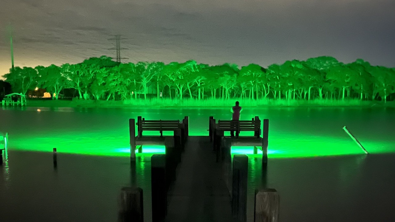 Photo of Outdoor in Brazoria