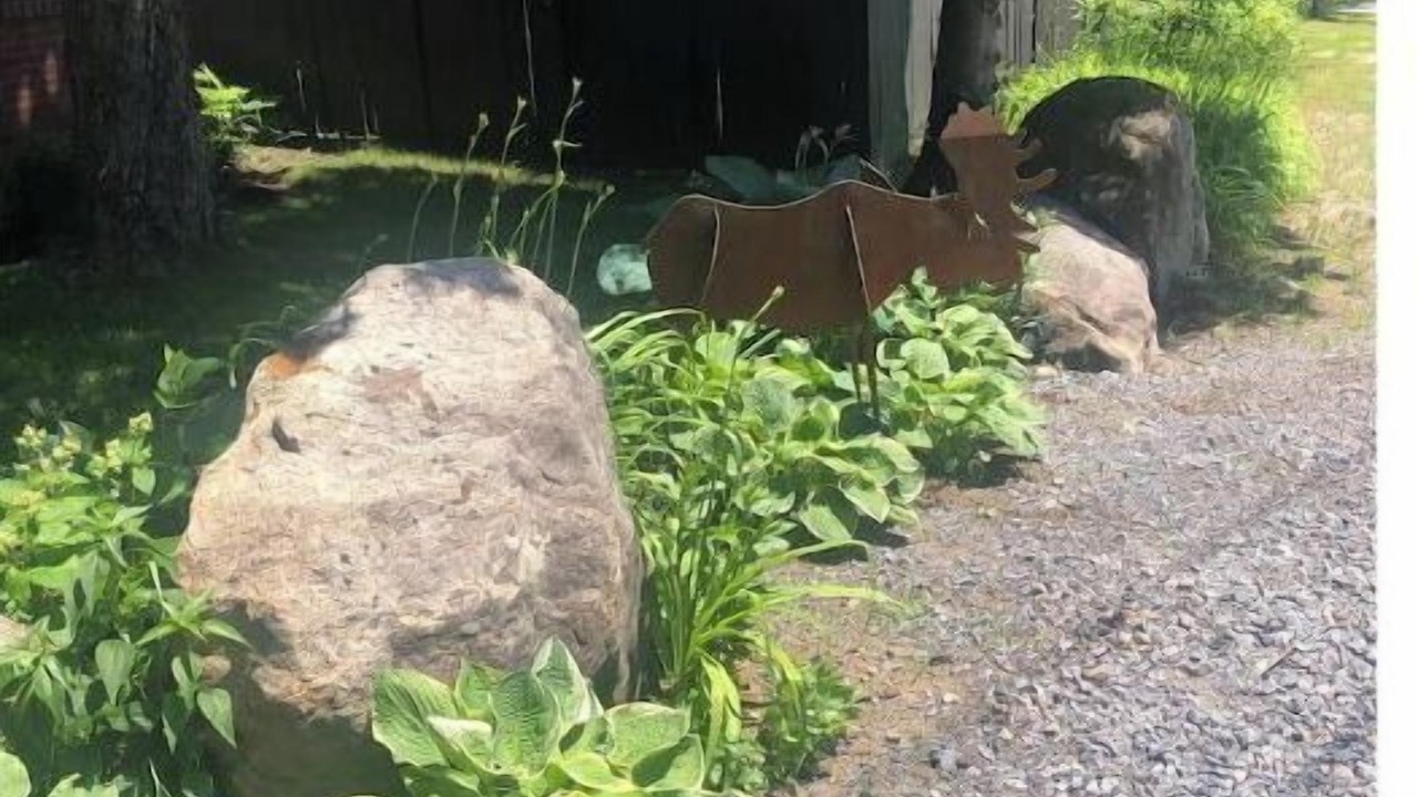 Photo of Outdoor in Stony Creek
