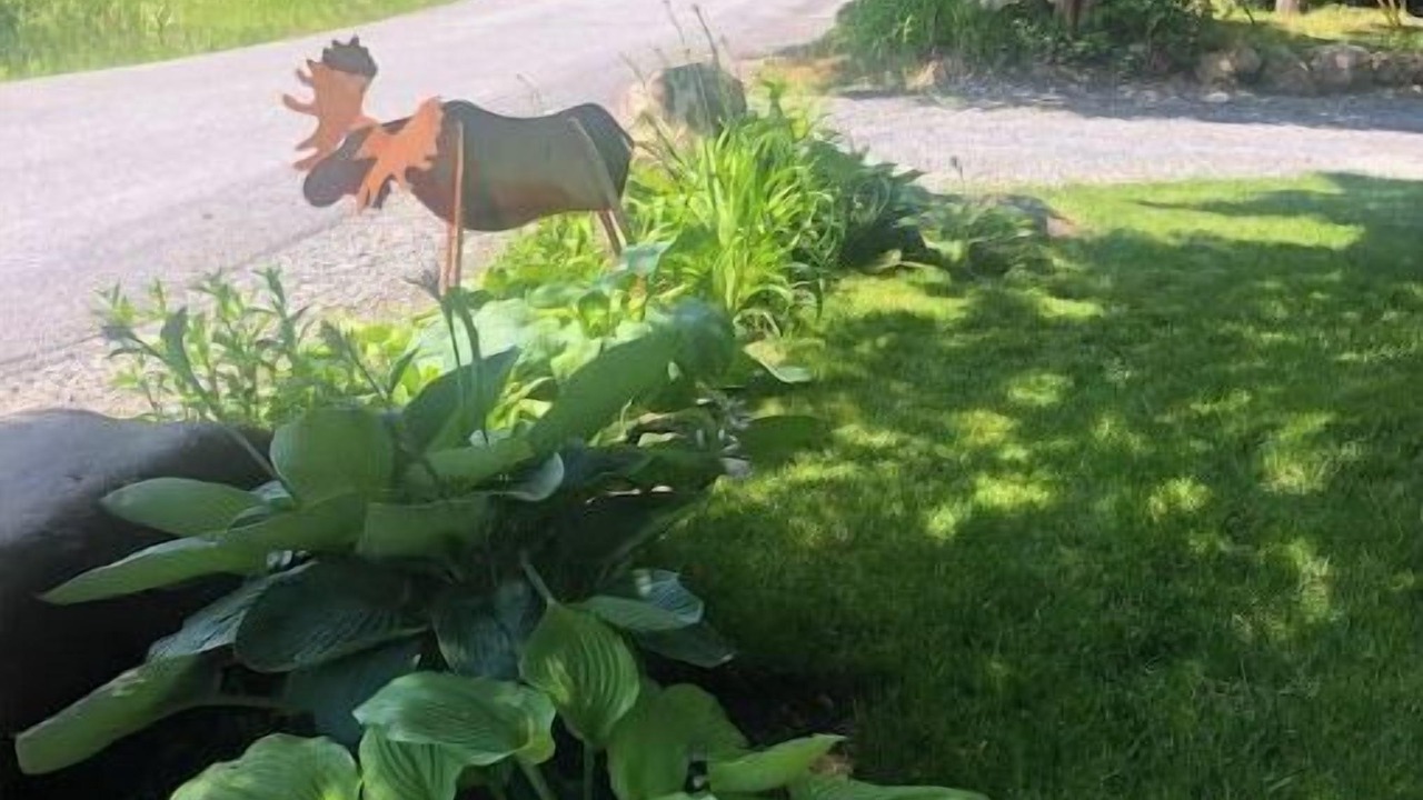 Photo of Outdoor in Stony Creek
