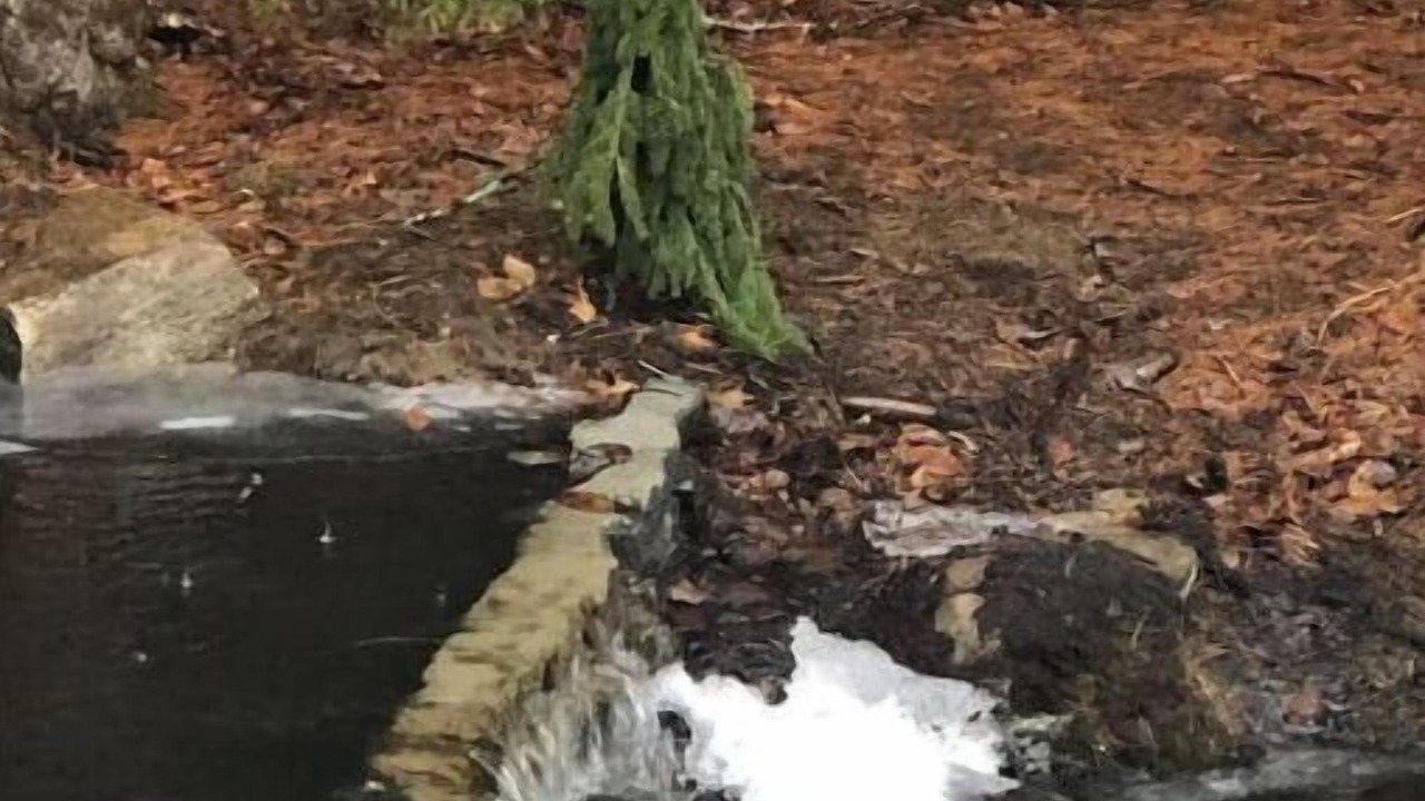 Photo of Others in Stony Creek