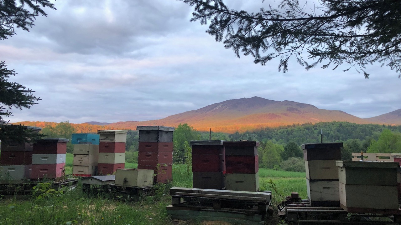Photo of Outdoor in East Burke
