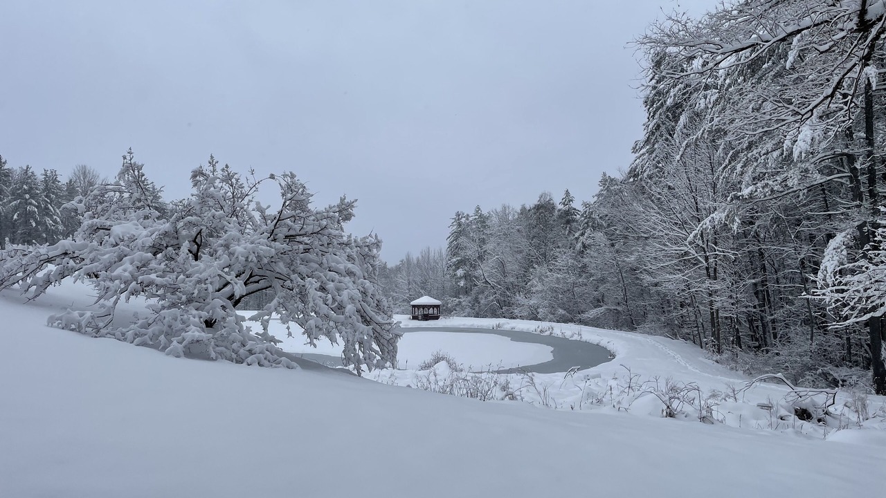 Photo of Others in Pownal