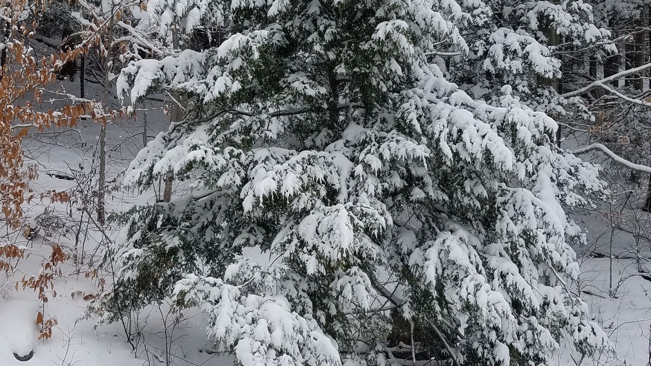 Photo of Outdoor in Shandaken
