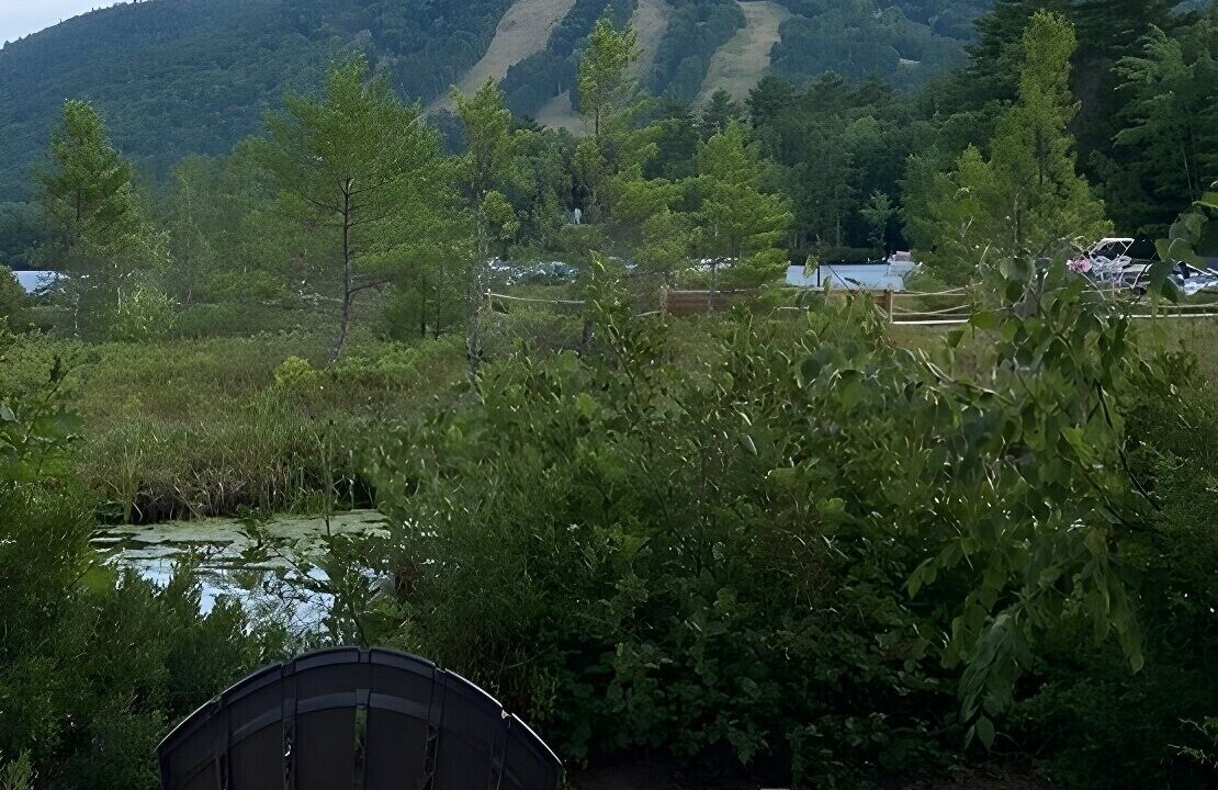 Photo of Outdoor in West Bridgton