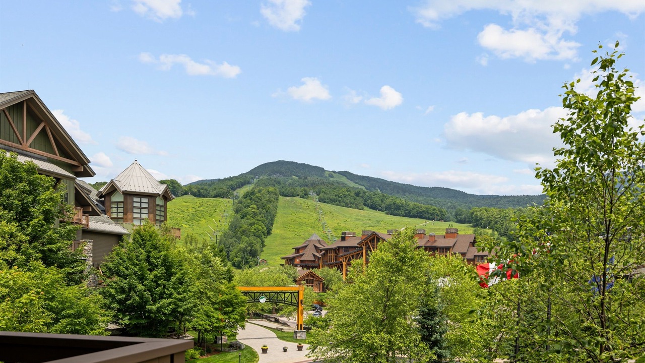 Photo of Outdoor in Stowe Area