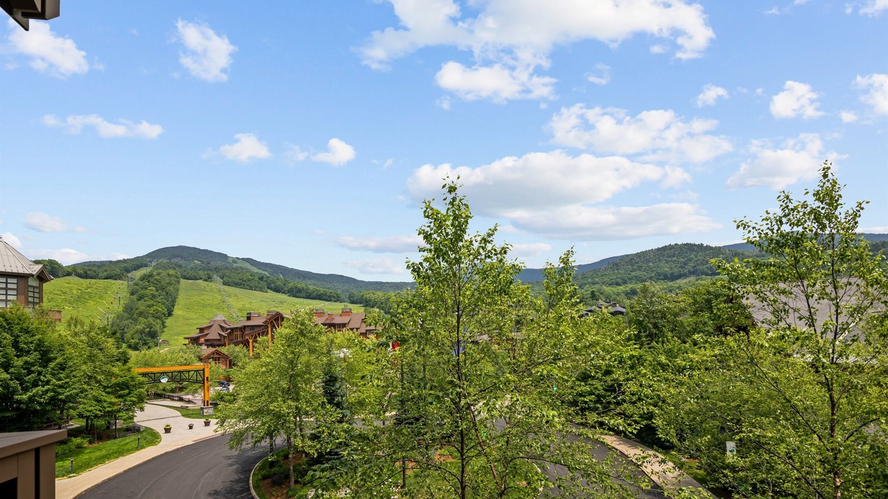 Photo of Others in Stowe Area