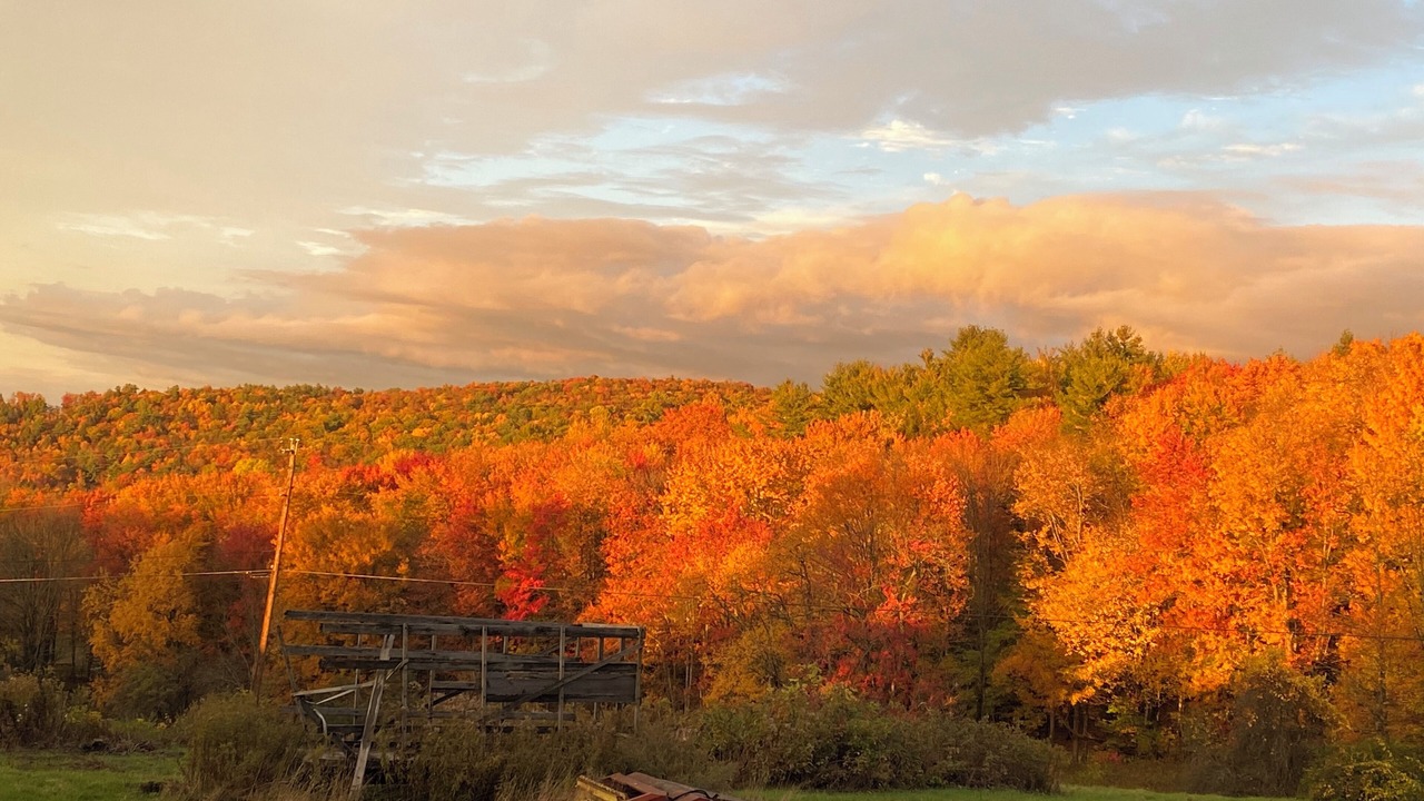 Photo of Outdoor in Hallstead