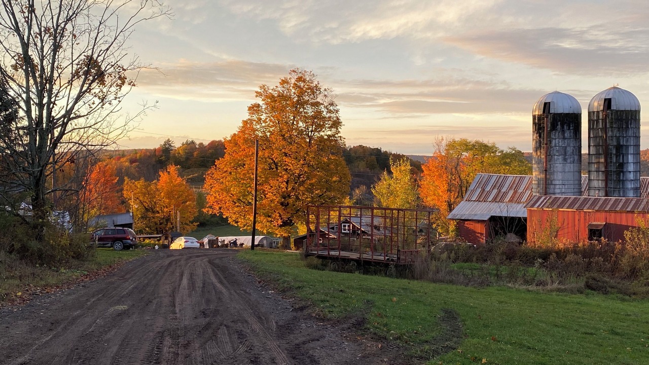 Photo of Others in Hallstead