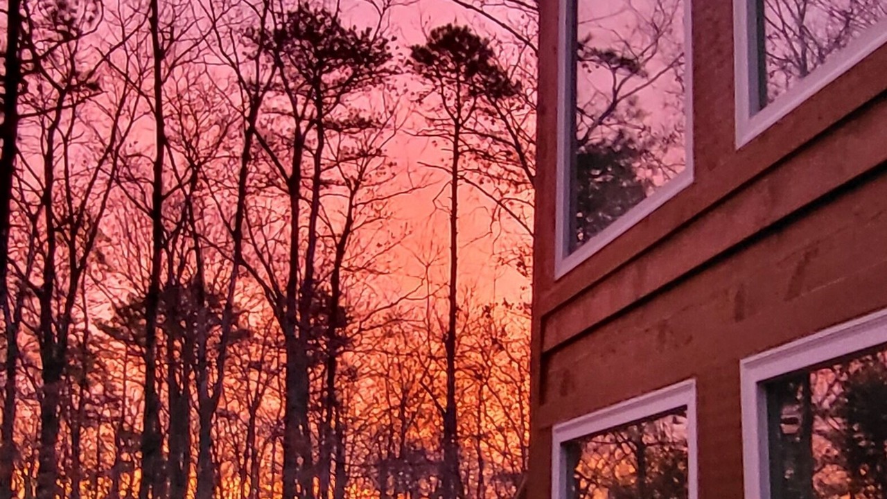 Photo of Patio Balcony in The Woods