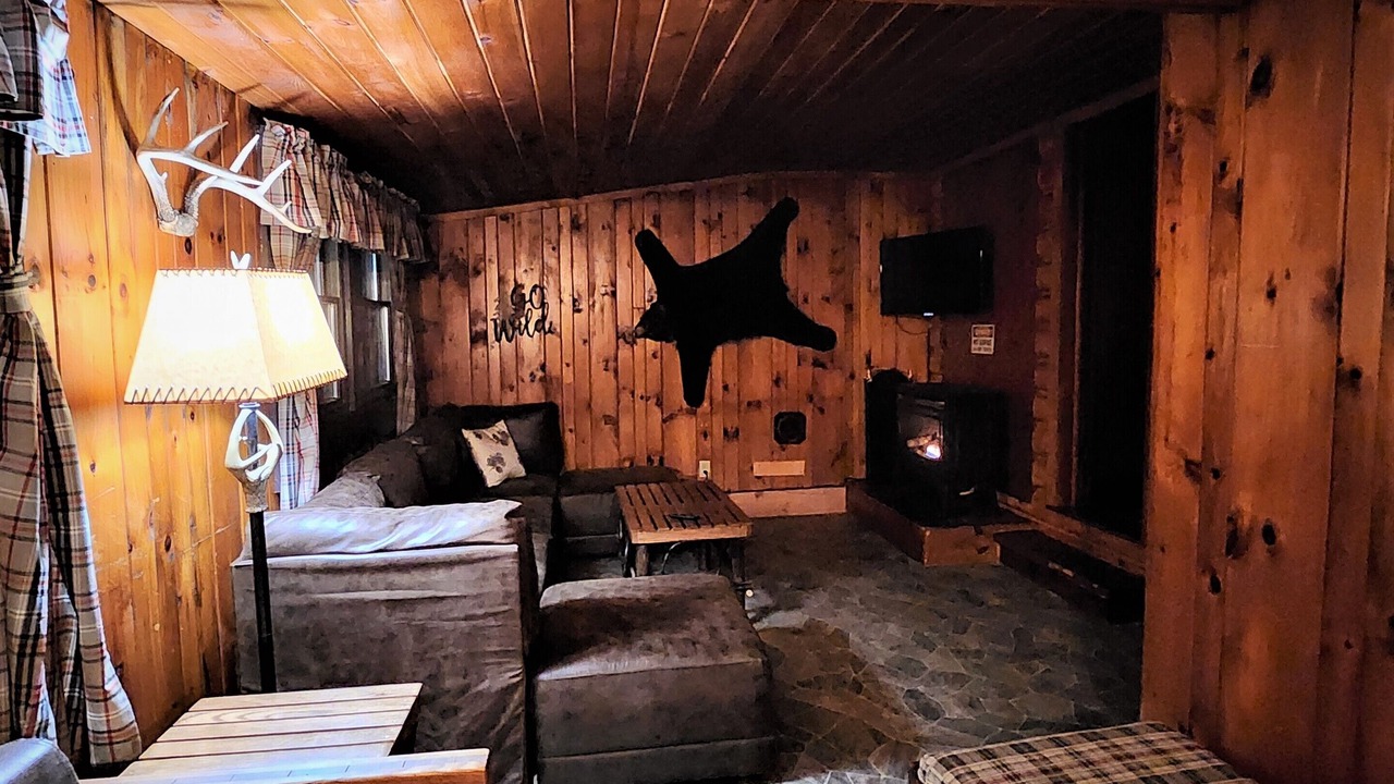 Photo of Livingroom in Lake George