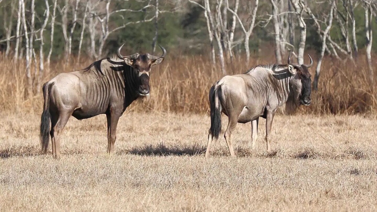 Photo of Outdoor in Winnie