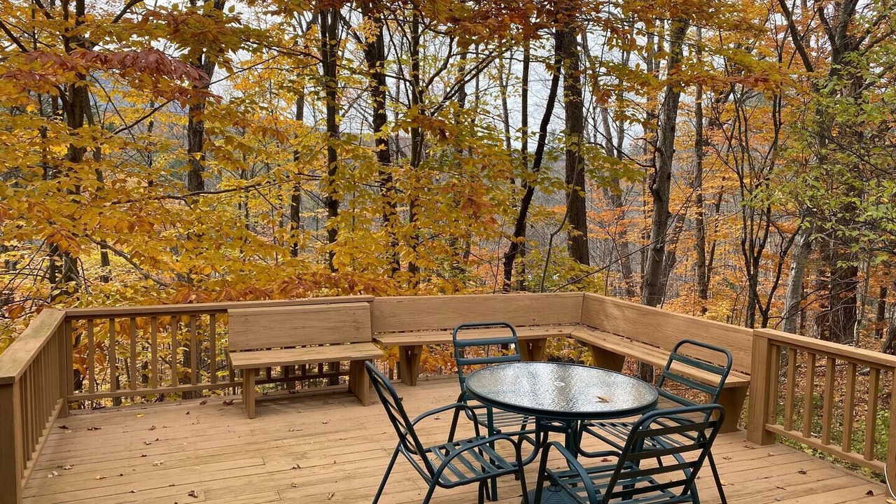 Photo of Outdoor in Forest Farms
