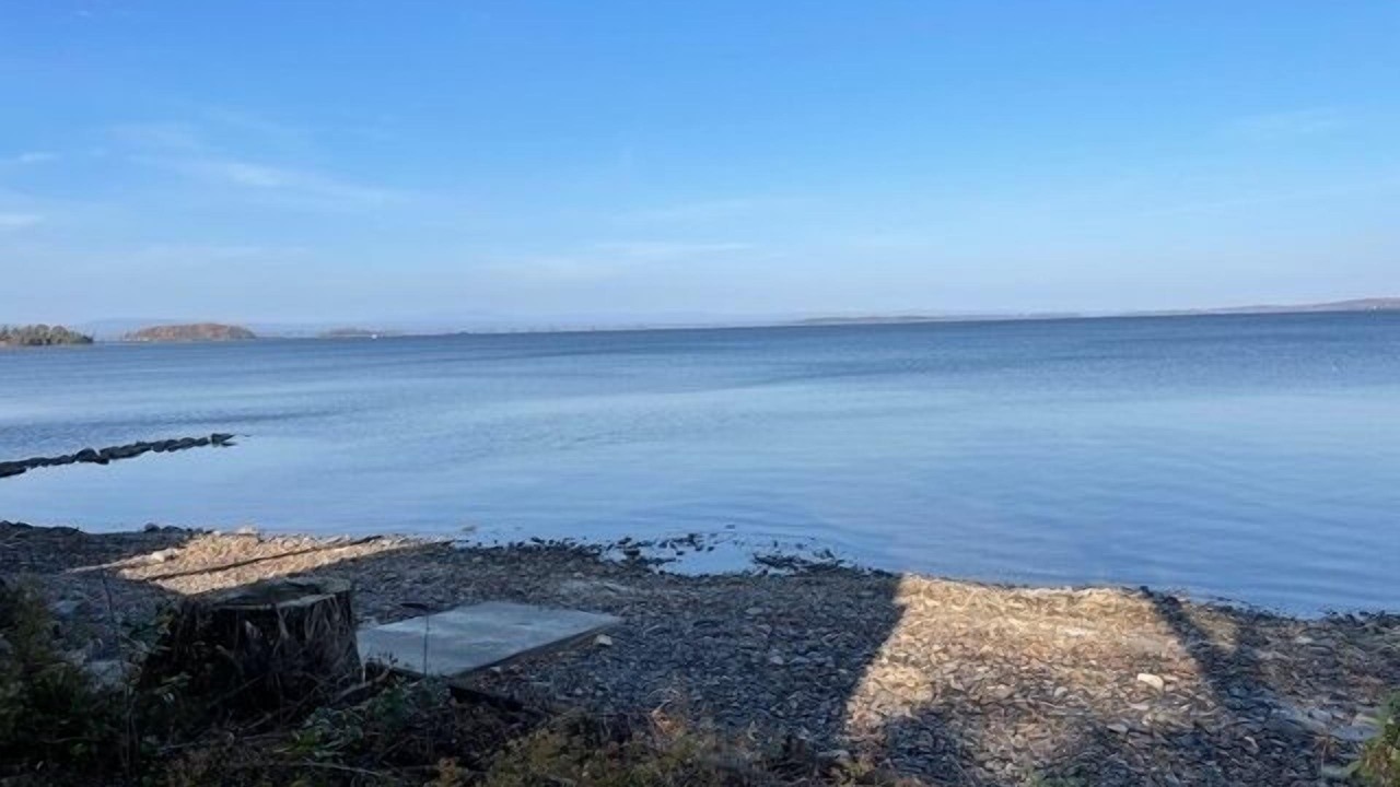 Photo of Others in Malletts Bay