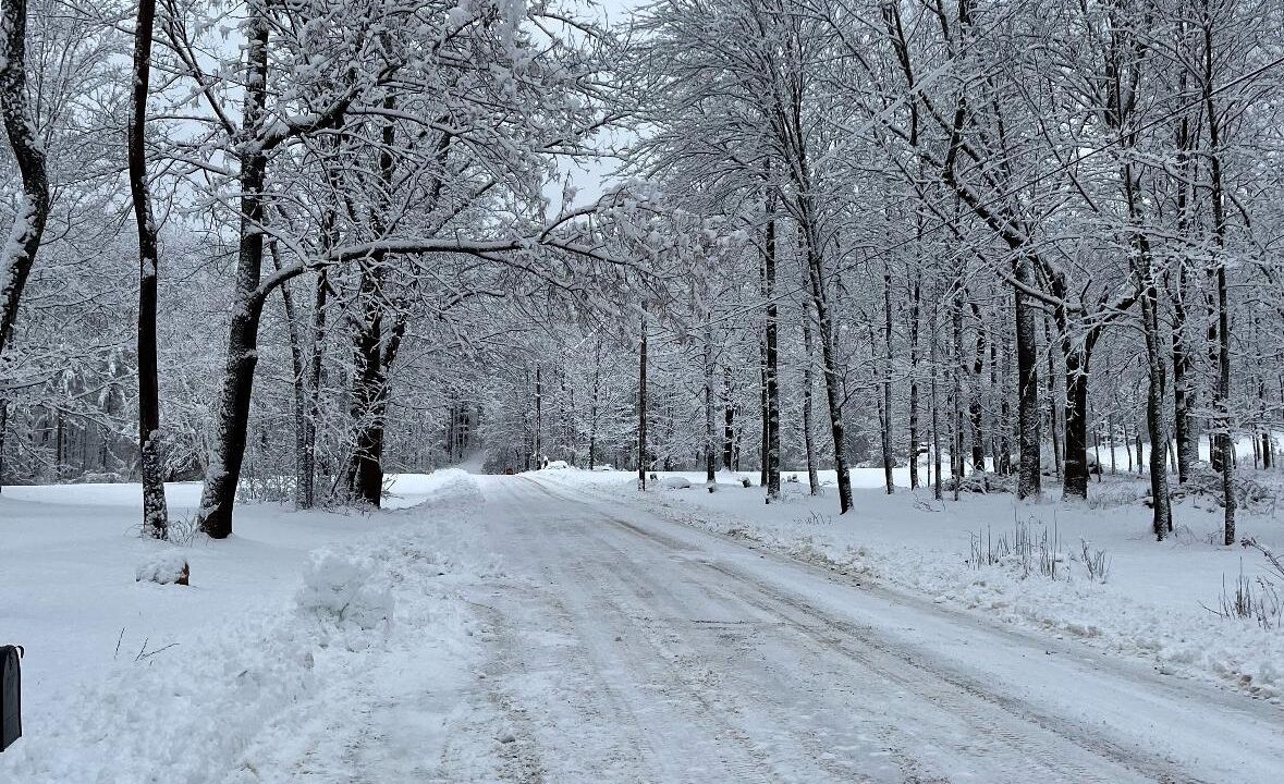 Photo of Others in Pownal