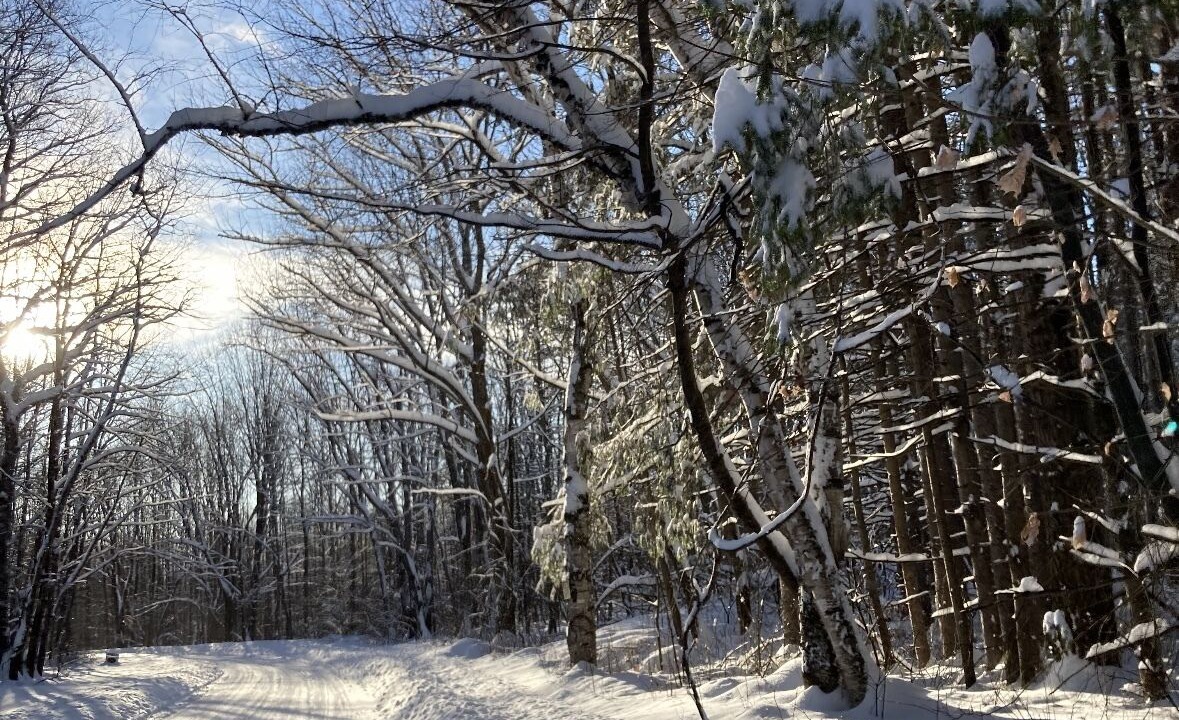 Photo of Others in Pownal