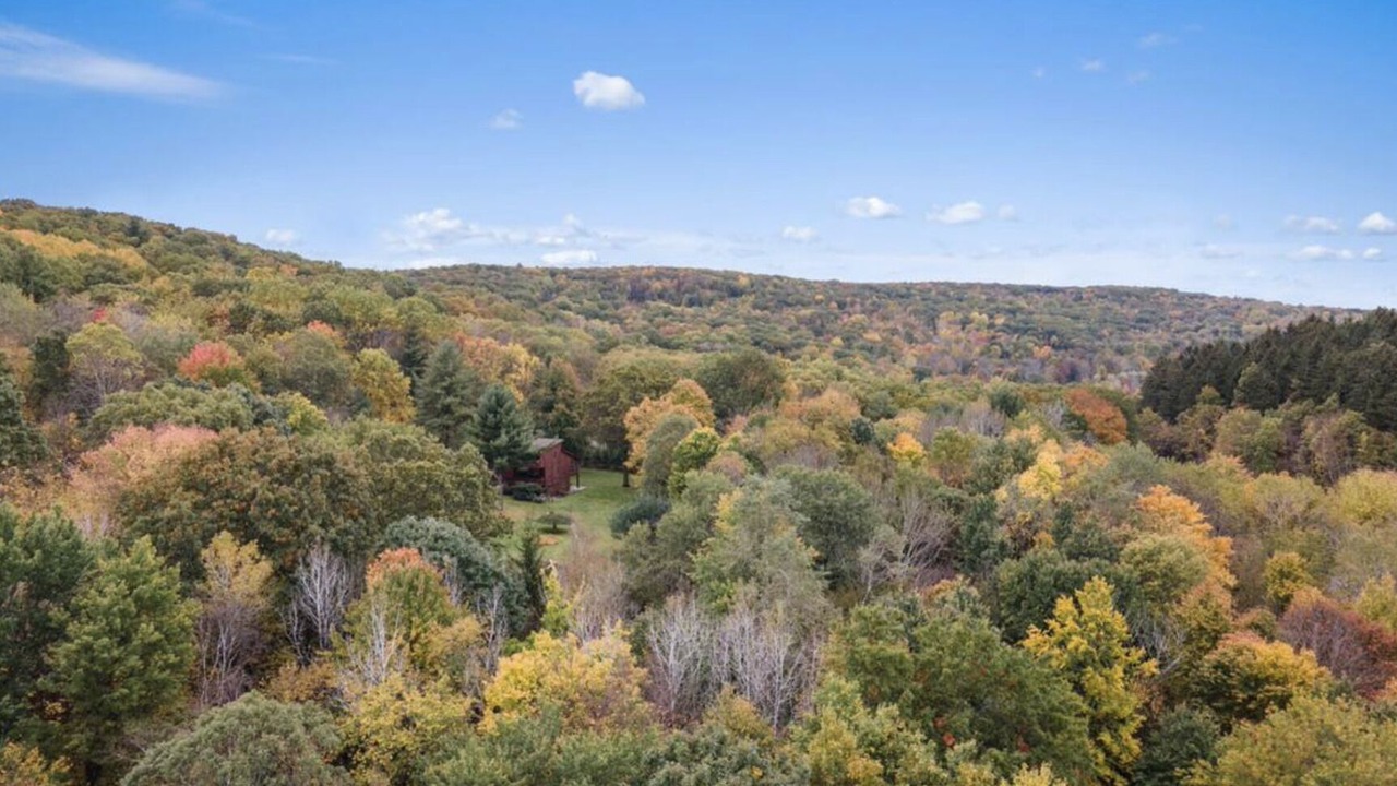 Photo of Outdoor in Copake Lake