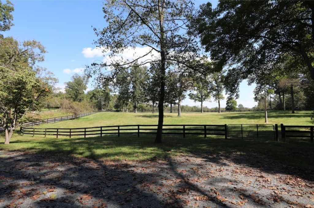 Photo of Outdoor in Middleburg