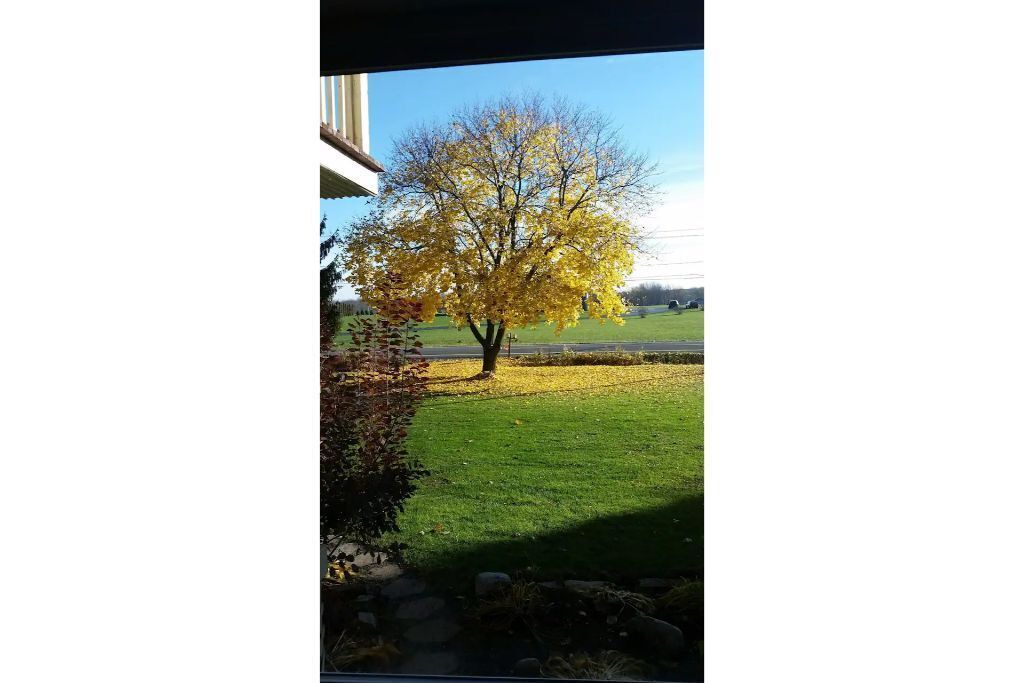 Photo of Outdoor in Syracuse