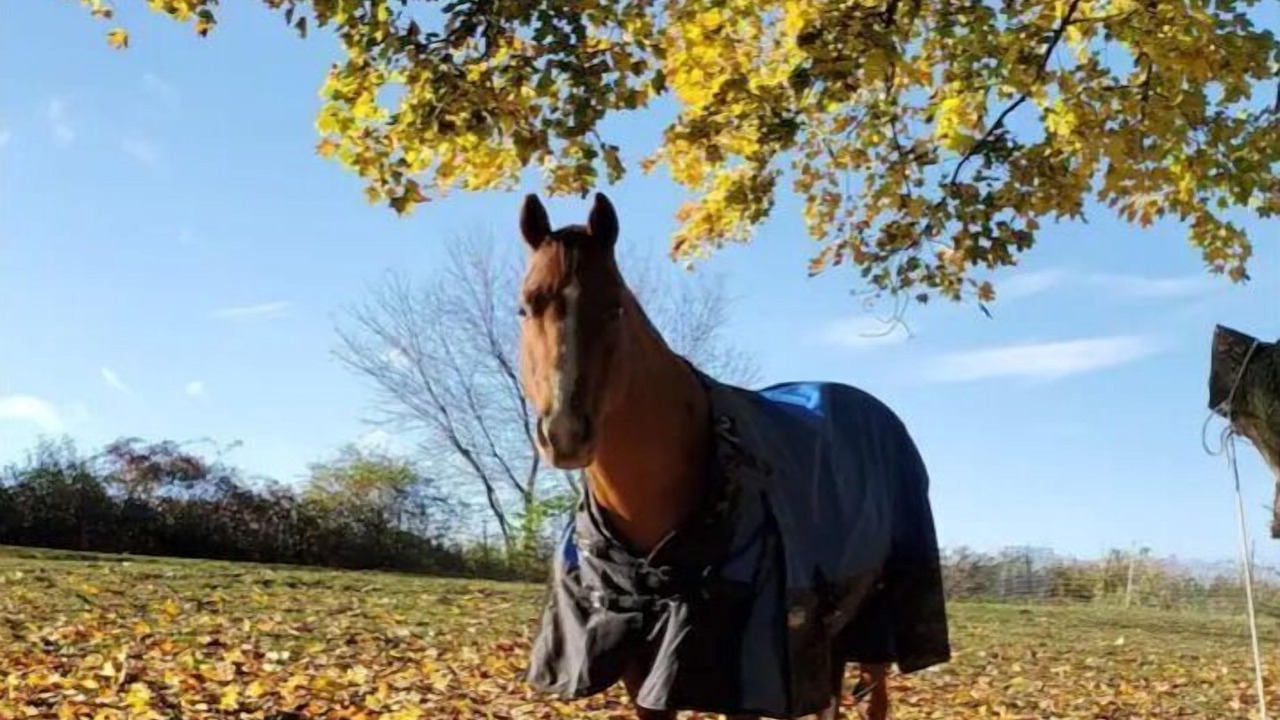 Photo of Outdoor in Syracuse