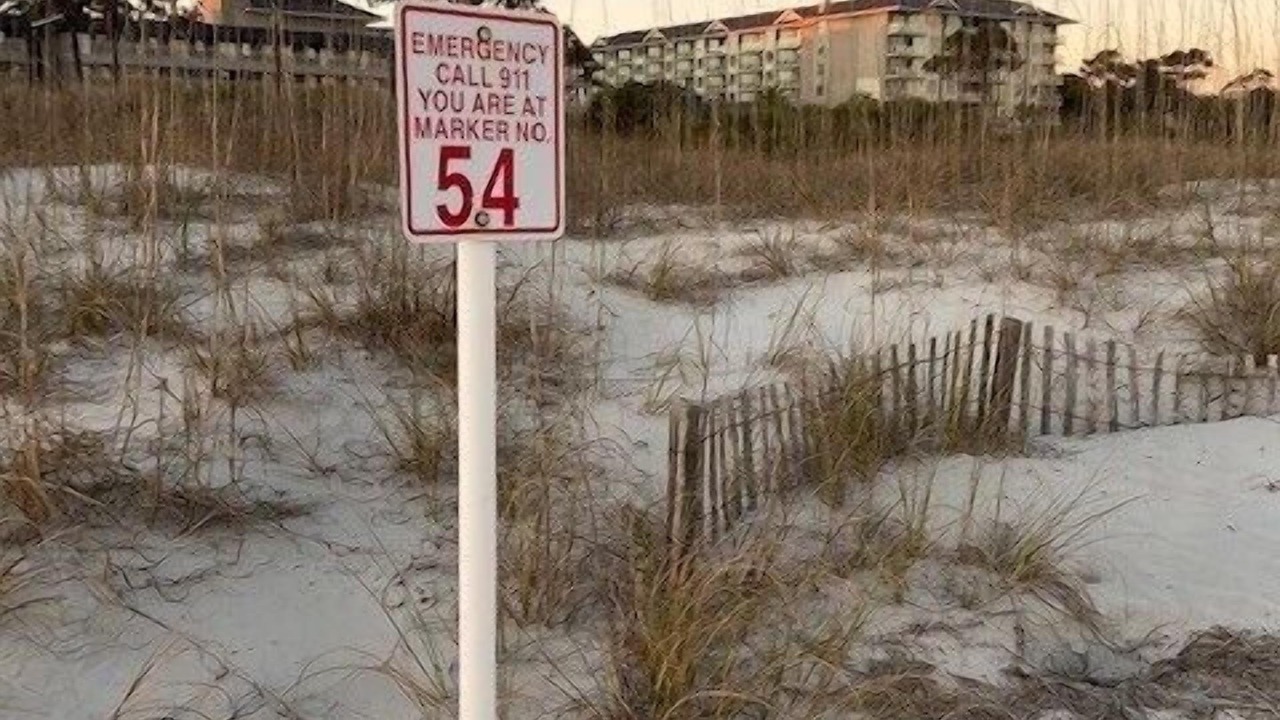 Photo of Others in Hilton Head Island