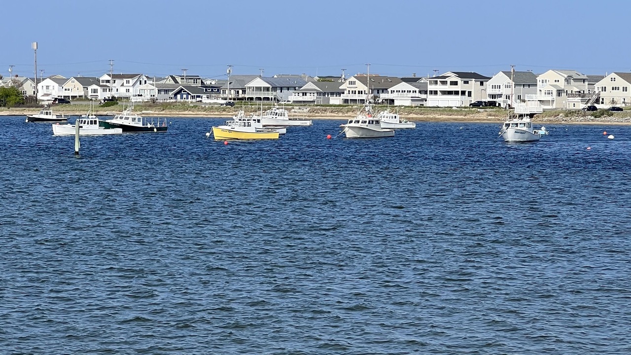 Photo of Others in Seabrook