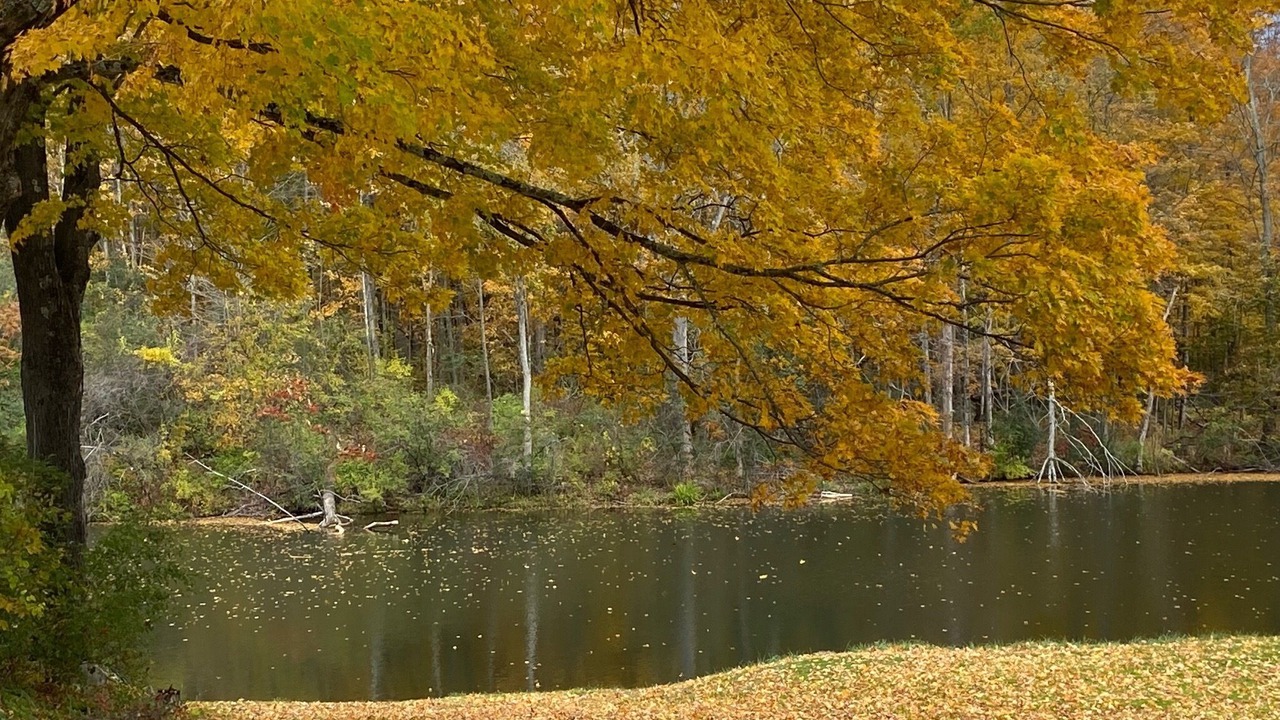 Photo of Others in South Hartford