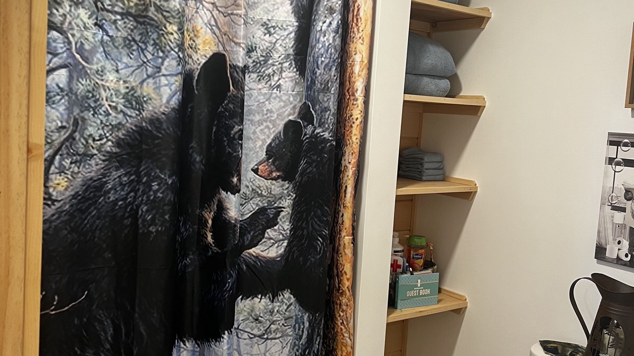 Photo of Bathroom in Johnson