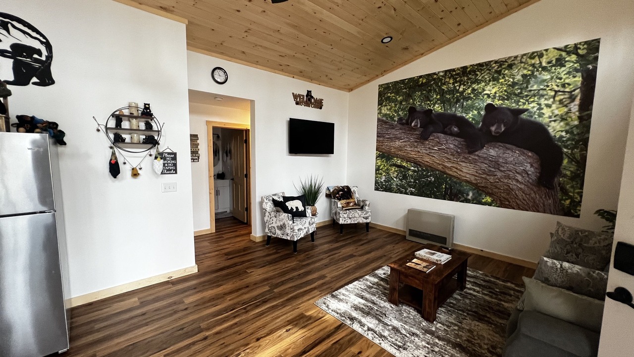 Photo of Livingroom in Johnson