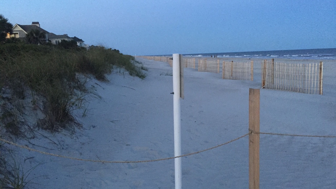 Photo of Others in Hilton Head Island