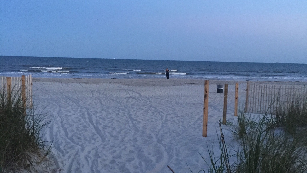 Photo of Others in Hilton Head Island