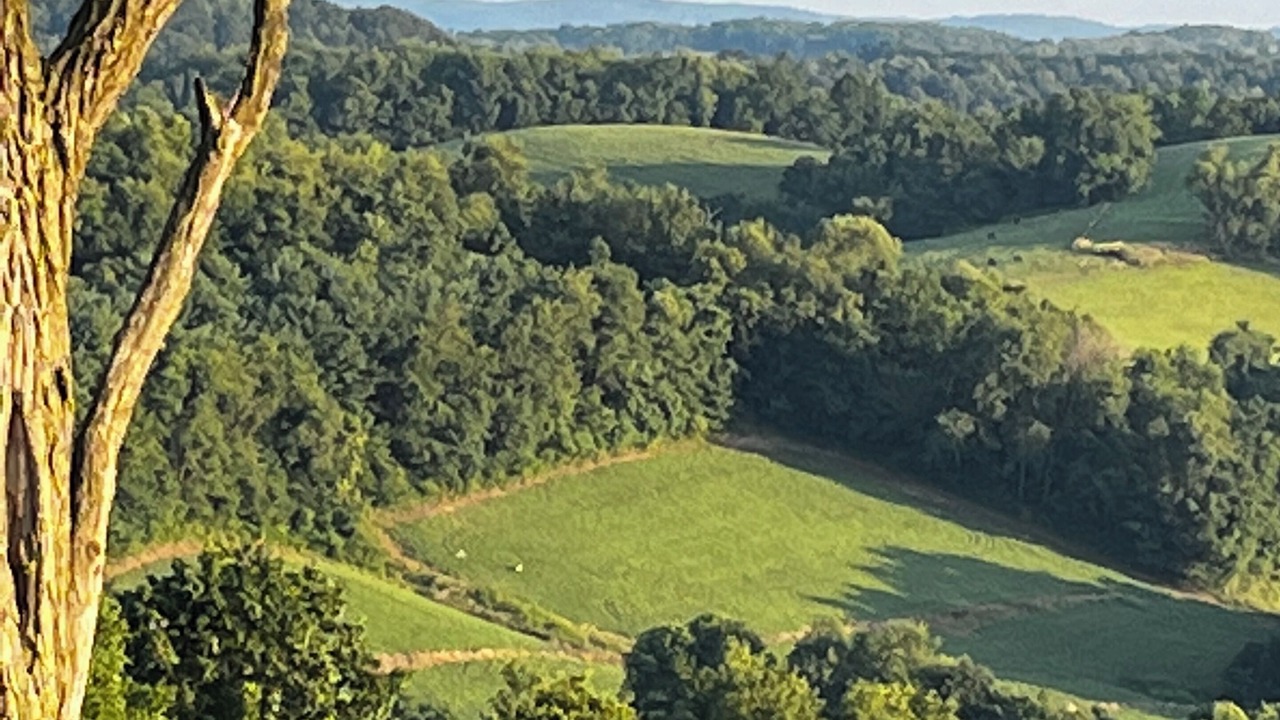 Photo of Others in Scenery Hill