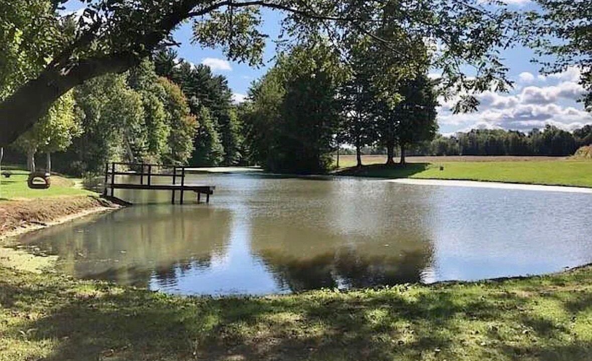 Photo of Others in East Springfield