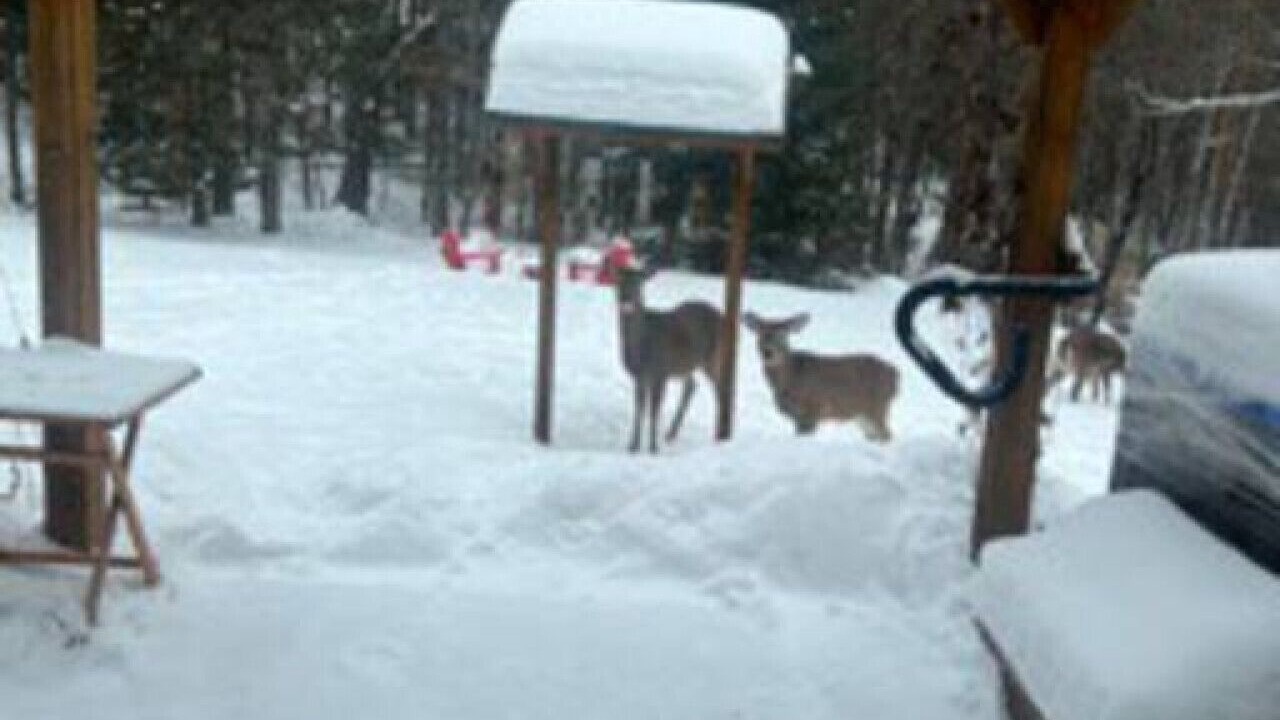 Photo of Others in Tupper Lake