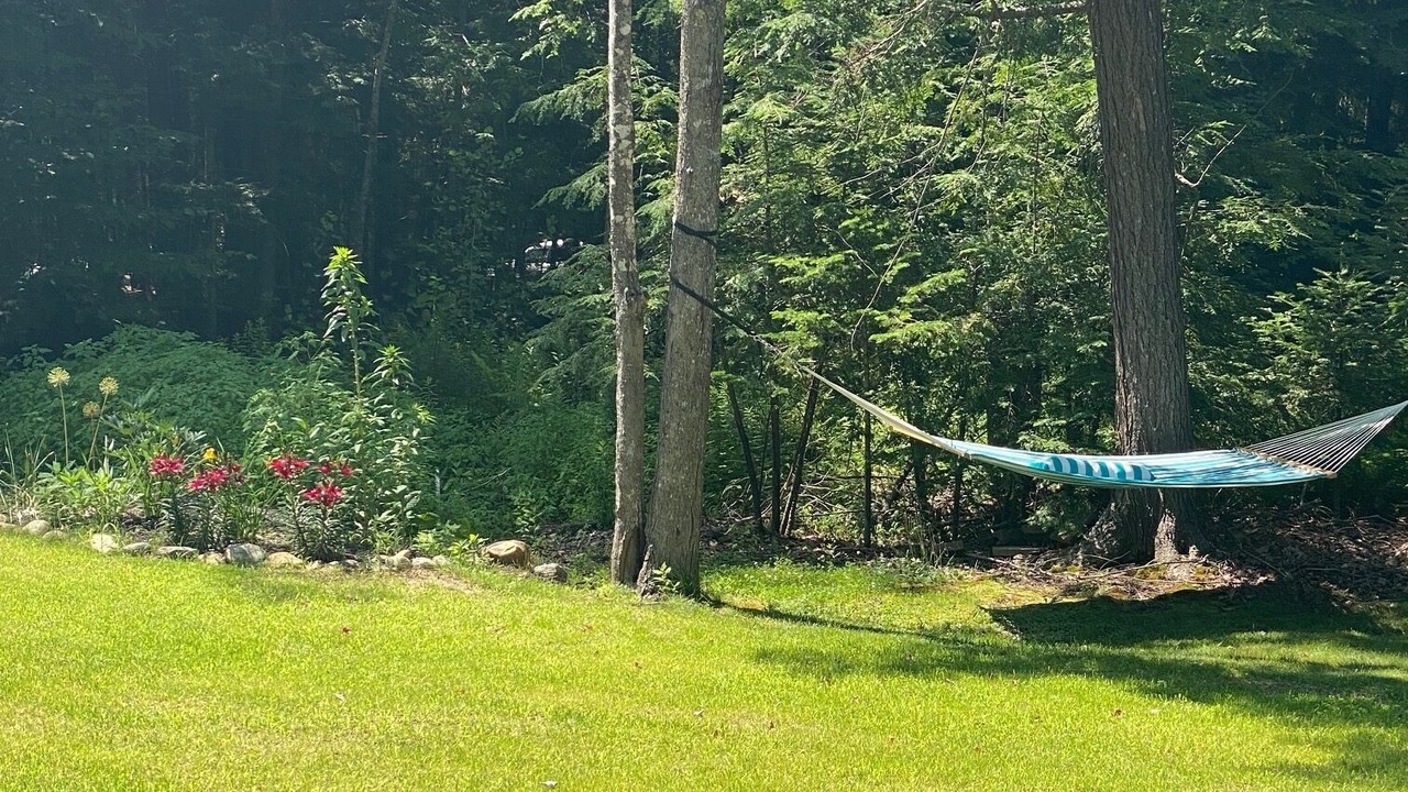 Photo of Outdoor in Barnstead