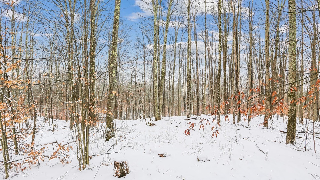 Photo of Others in Canaan Valley