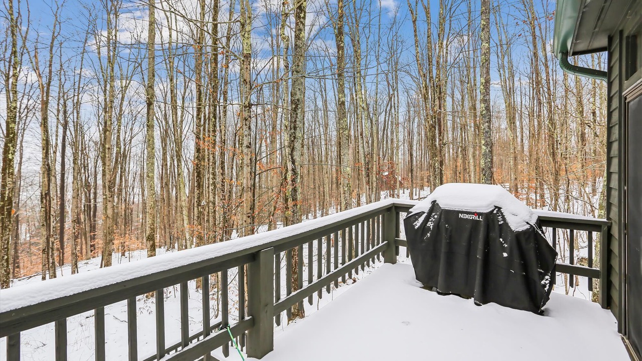 Photo of Others in Canaan Valley
