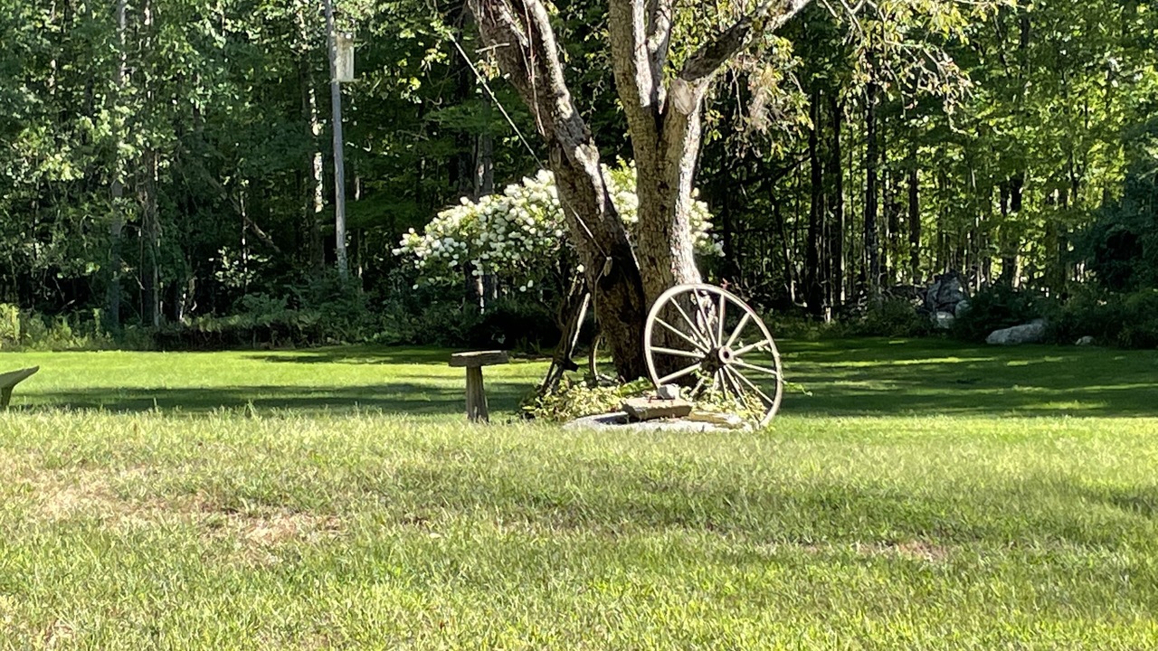 Photo of Others in Concord