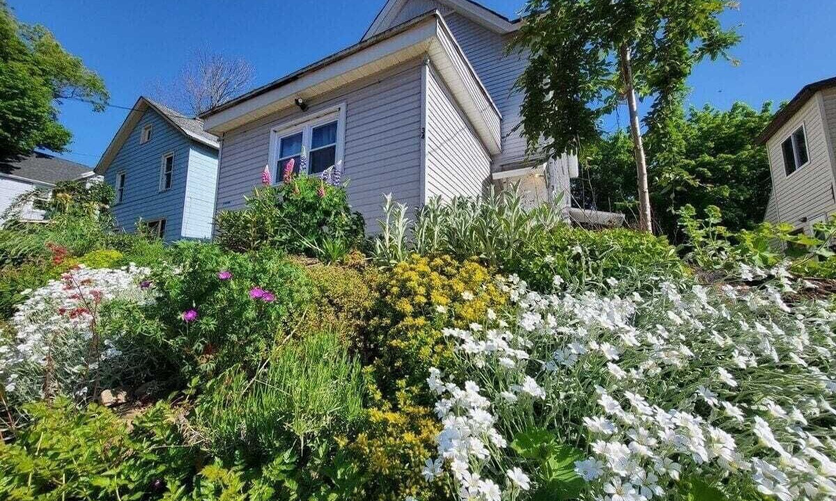 Photo of Outdoor in Jamestown