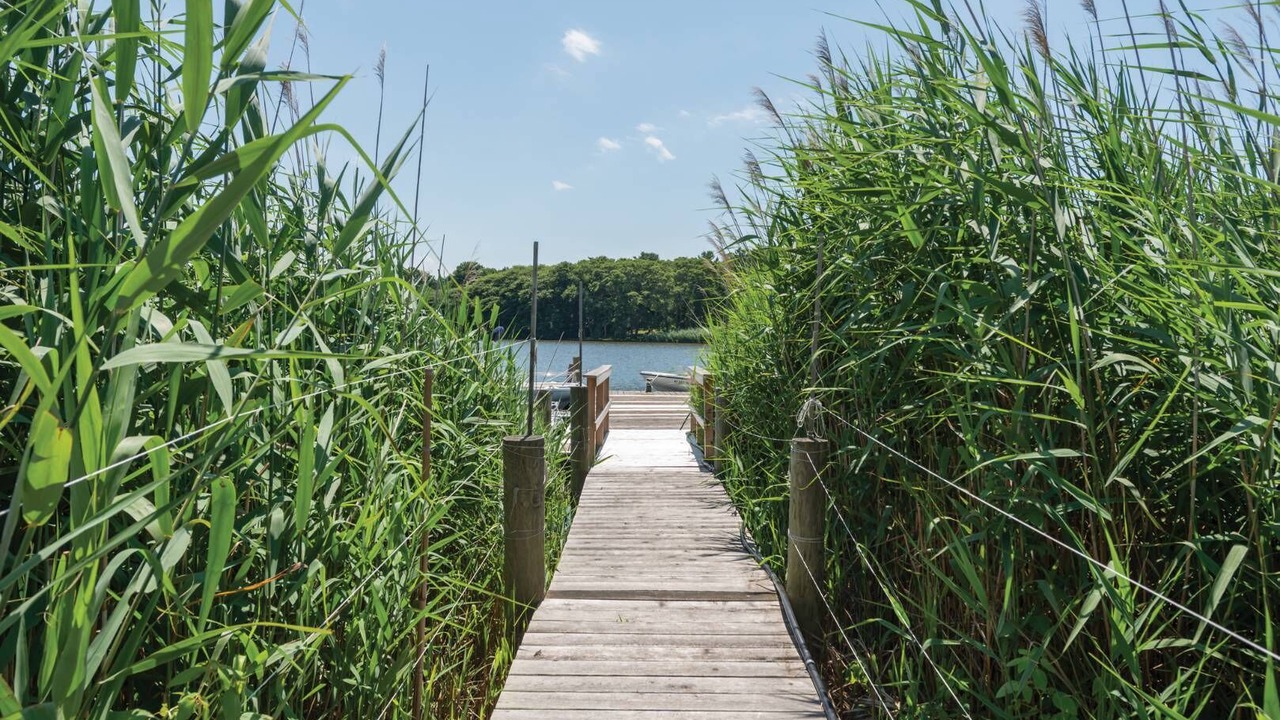 Photo of Outdoor in Water Mill