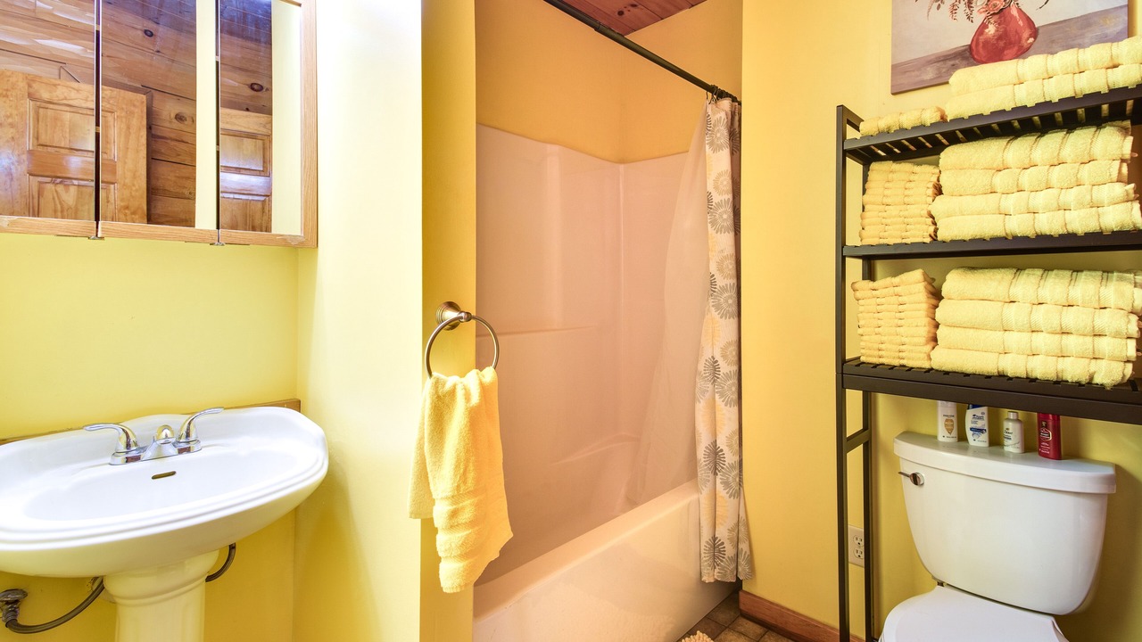 Photo of Bathroom in Romulus