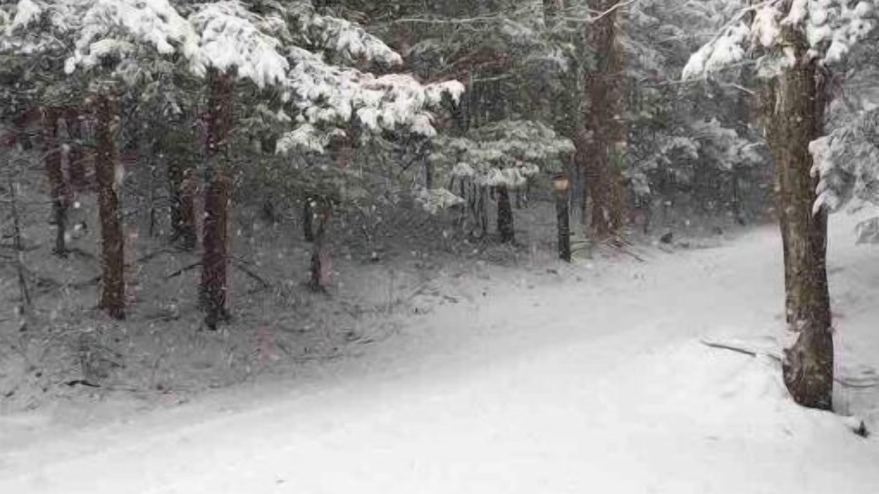 Photo of Outdoor in Pittsfield