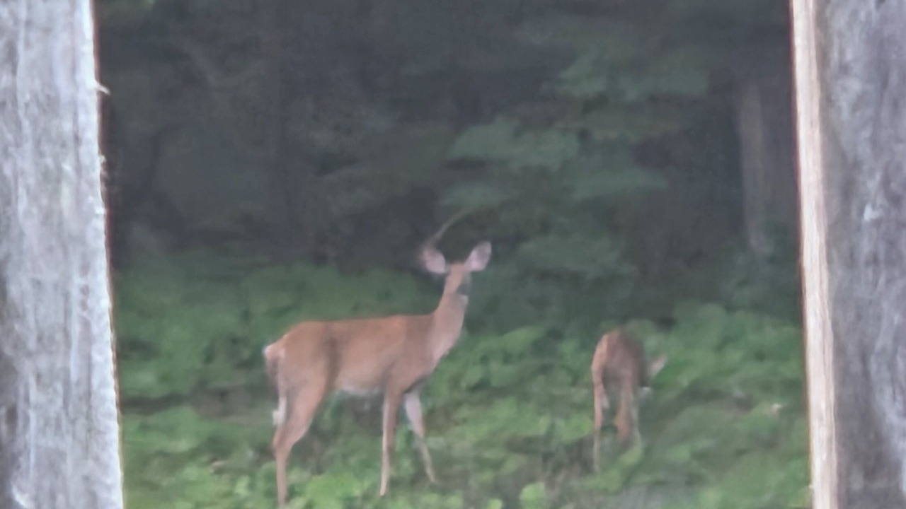Photo of Others in Glen Aubrey