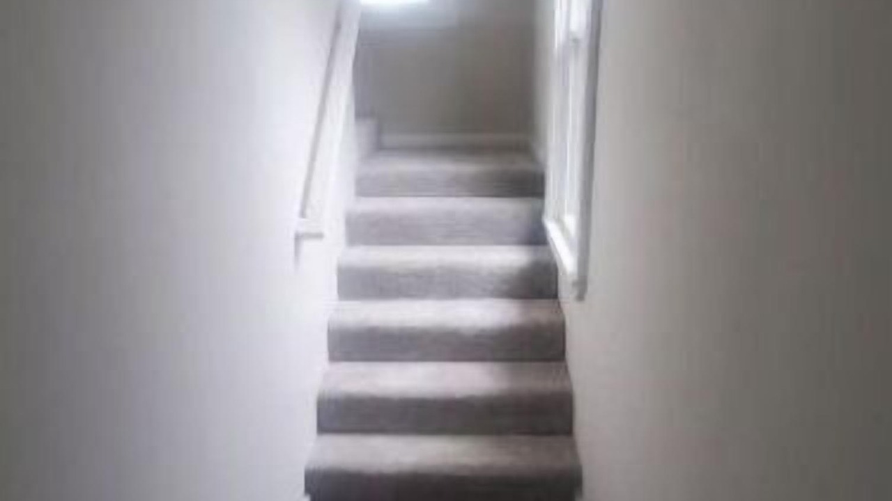 Photo of Others in Hamilton