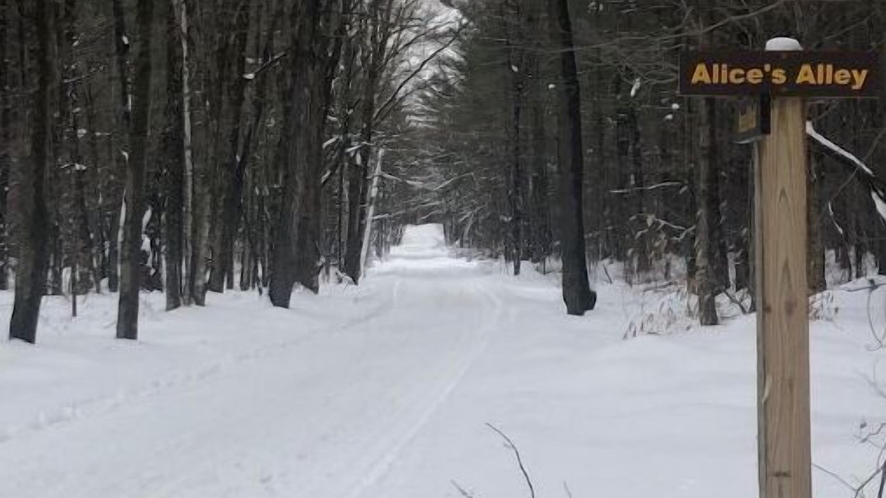 Photo of Outdoor in Sandy Creek